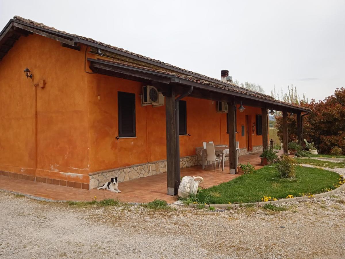 Il Girasole B&B Ceprano Exterior foto